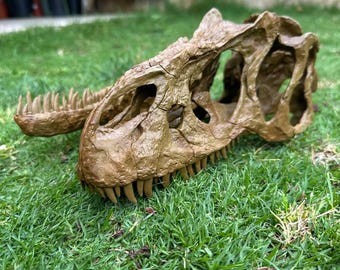 Replica of an Allosaurus Skull, Hand-Painted Jurassic Predator Dinosaur in Resin, Paleontology Gift, Natural Science Decoration