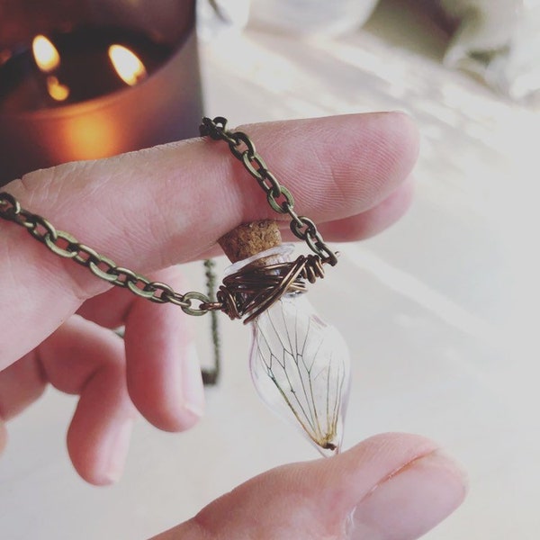 FAIRY WING Cicada Bottle Bug Wing Necklace