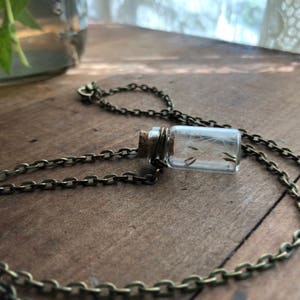 BOTTLED WISHES Dandelion Seed Necklace image 7