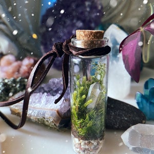 THRIVE Mini hanging terrarium decor  living plant crystal Christmas ornament