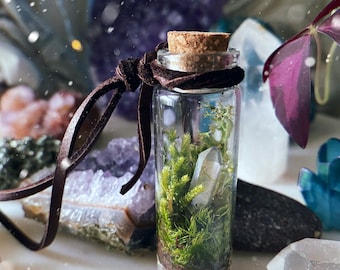 THRIVE Mini hanging terrarium decor  living plant crystal Christmas ornament