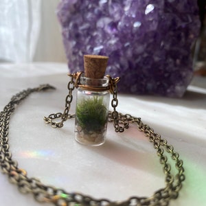 TINY TERRARIUM Necklace with live kentucky moss living plant jewelry image 9