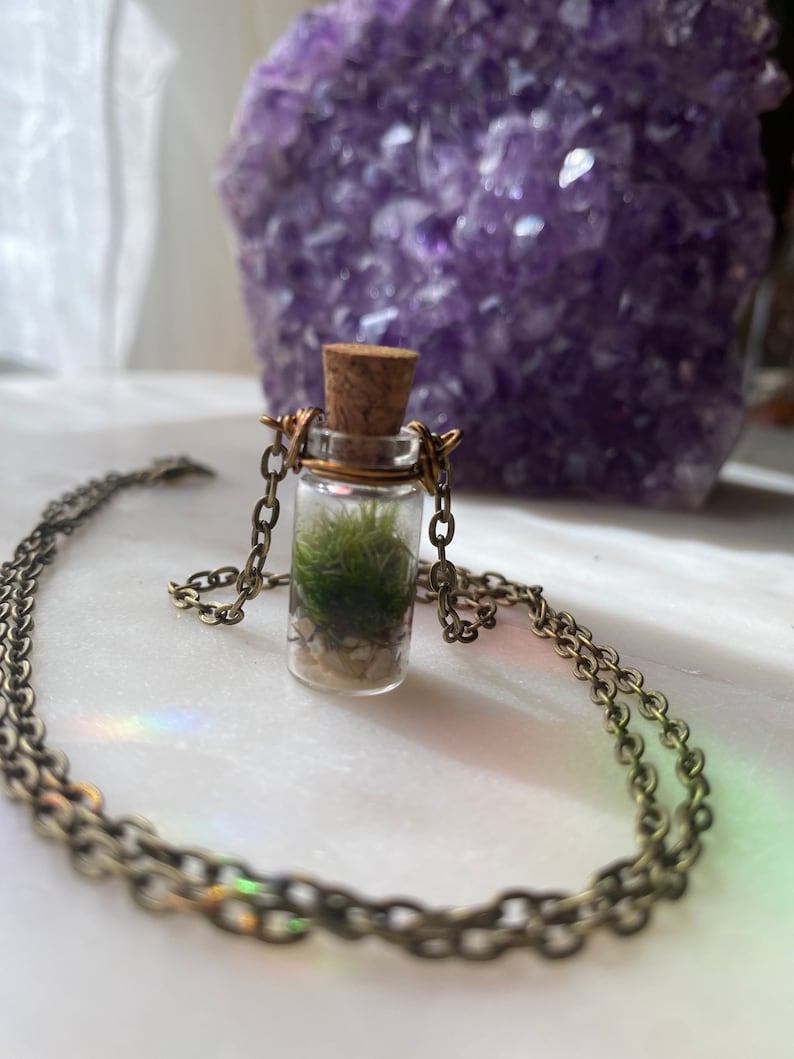 TINY TERRARIUM Necklace with live kentucky moss living plant jewelry image 9