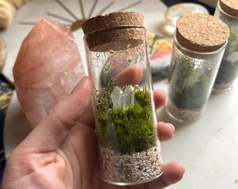 GOOD VIBES Living Desk Terrarium eco friendly office desk decor coworker gift sustainable crystal easy to care for plant moss cottage core