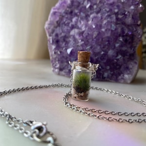 TINY TERRARIUM Necklace with live kentucky moss living plant jewelry image 3