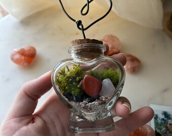 HEART of GLASS terrarium plus cute photo holder gift for loved one desk decor living plant with rose Quartz and Jasper crystal