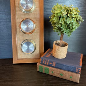 May include: A rectangular wooden wall plaque featuring three circular brass-rimmed instruments, including a barometer, thermometer, and hygrometer, set against a textured beige background, displayed alongside a small potted plant and two books.