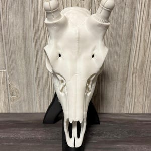 May include: A white, 3D-printed animal skull with detailed bone structure, including eye sockets and a nasal cavity. The skull has two cylindrical protrusions and is mounted on a black base, creating a striking decorative piece.