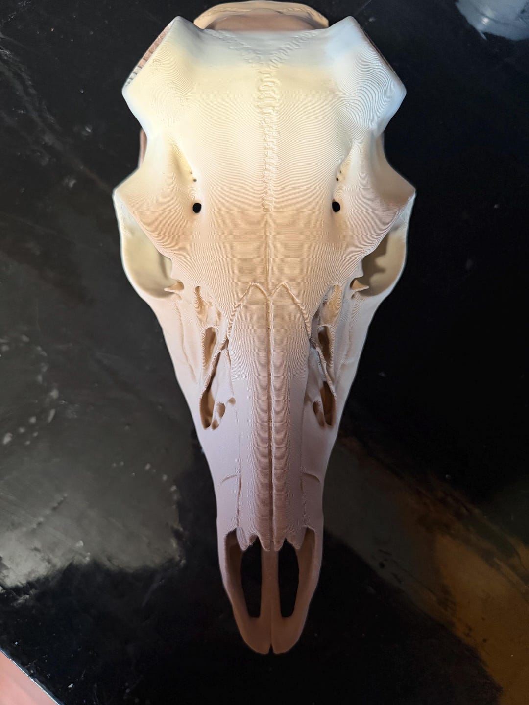 3d Printed Whitetail Deer Skull Kit (fossil Rock) - Etsy