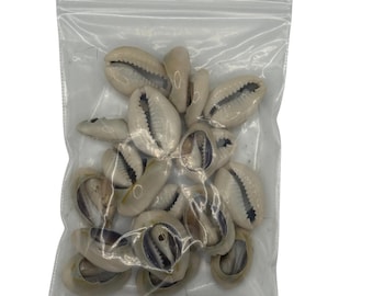 Cowrie Shells (21)