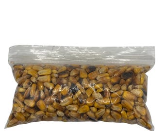 Toasted Corn (Maiz)