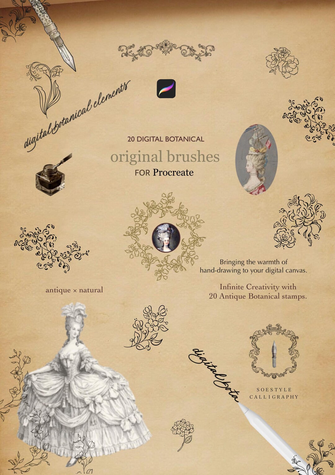 Botanical digital art Brushes & Stamps, Flower,leaf illustrations for ...