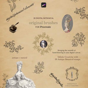 以下が含まれることがあります： Procreate用のデジタル植物要素とオリジナルのブラシ。画像には、アンティークの植物スタンプ、時代衣装の女性のイラスト、カリグラフィーが描かれています。「手描きの暖かさをデジタルキャンバスにもたらします」というテキストがあります。
