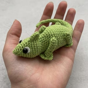May include: A small, light green crocheted lizard toy featuring a textured yarn surface, a long curved tail, four short legs, and two black plastic eyes set against white felt circles. The lizard is crafted with a dense, uniform stitch pattern.