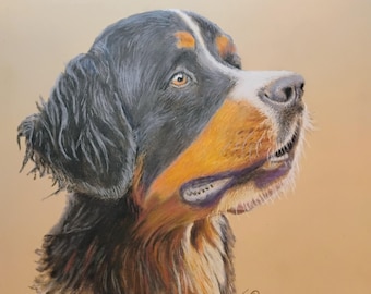 Custom Pet Portrait / Bernese Mountain Dog Pastel Drawing / Original Wildlife Art (11.2" x 10.7")