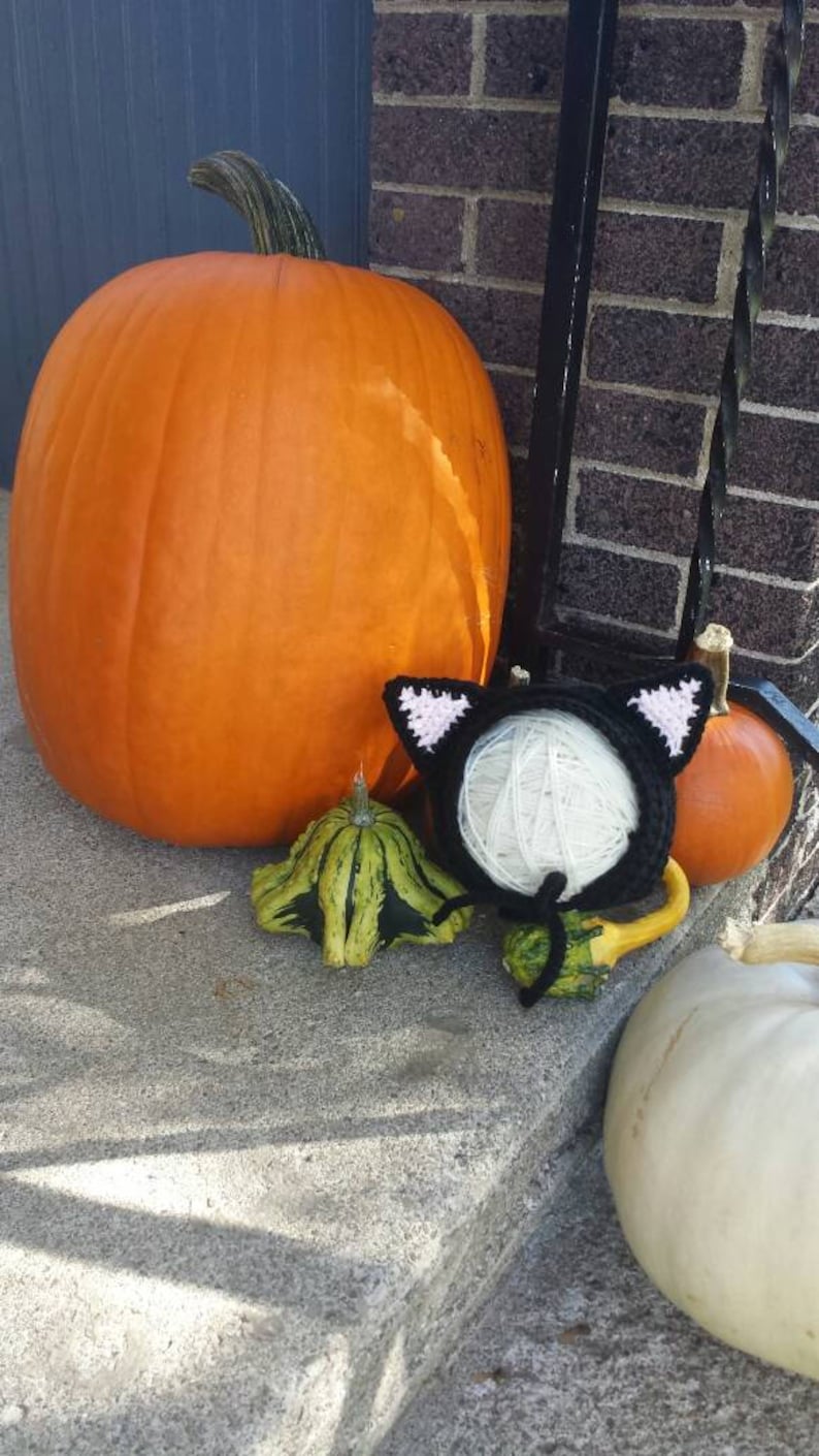 May include: A black crocheted cat with pink ears and white yarn inside, sitting on a porch with a large orange pumpkin, a small green gourd, and a white gourd.