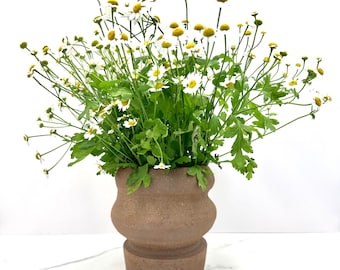 Raw Clay Curvy Wildflower Vase