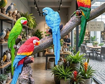 Set of Four Parrots
