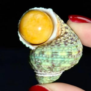 Natürliche Muschel mit Gelb Jade Sphere, handgemachte Kristall Wohnkultur, Ocean Witchy Geschenk, Heilkristall, Kristallgeschenk für sie