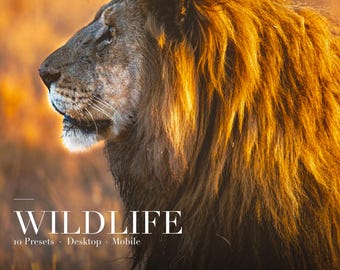 野生動物向けLightroomプリセット、デスクトップおよびモバイル用XMPプリセット10種類、動物自然写真編集