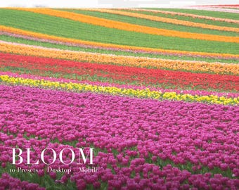 春のイースターをテーマにしたLightroomプリセット、デスクトップとモバイル向けのXMPプリセット10種類、花柄パステル調の編集