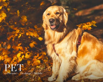 ペット写真用Lightroomプリセット、デスクトップおよびモバイル用XMPプリセット10種類、犬猫動物写真編集