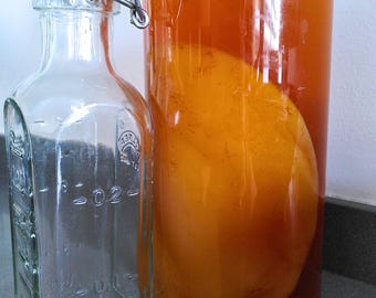 Kit per la preparazione di kombucha con SCOBY XL da 15 cm + liquido e istruzioni.