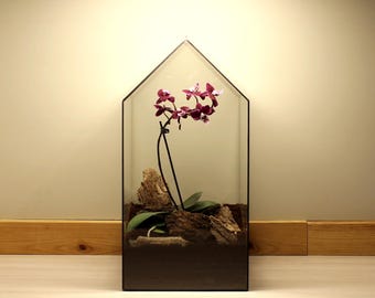 Geometrisch glazen terrariumhuis – moderne waterdichte kas, dak dat open kan, plantendisplay, planten niet inbegrepen