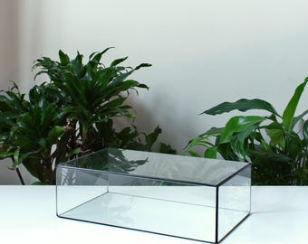 Vitrine basse rectangulaire en verre, Vitrine en verre plat, Boîte à bijoux, Vitrine pour photos, Rangement pour objets de collection, Décoration de mariage
