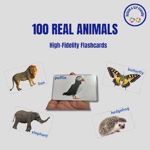 Starter Pack: 100 Real Animal Flashcards A-Z, Montessori Learning Cards, Real Pictures, Speech Therapy, Toddler Education, Digital Download