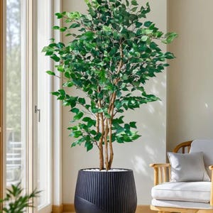Puede incluir: Un árbol de ficus artificial en una maceta negra acanalada. El árbol tiene múltiples troncos marrones y exuberantes hojas verdes. La maceta, de color carbón oscuro, se encuentra sobre un suelo de madera clara. El fondo incluye una ventana y una silla.