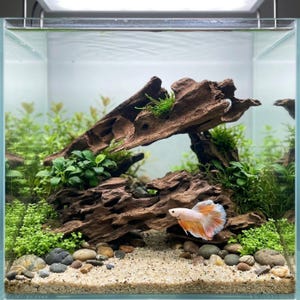 Aquarium Deko – Schwebender Stein Aus Naturgestein Mit Saugnapf, Klein, Für Aquarien & Terrarien – Als Schwebende Felsdekoration