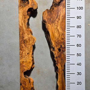 Könnte beinhalten: Zwei Stücke rohes, unfertiges Holz mit einer natürlichen, organischen Form. Das Holz hat eine satte, warme braune Farbe mit komplizierten Maserungsmustern. Ein Lineal wird neben dem Holz platziert und zeigt Messungen bis zu 120 cm an.