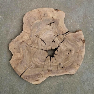 Può includere: Una fetta di legno naturale di colore marrone chiaro con anelli di crescita visibili. Il legno ha una forma unica con un foro centrale e diverse crepe. Può essere usato come sottobicchiere o piccolo tagliere.