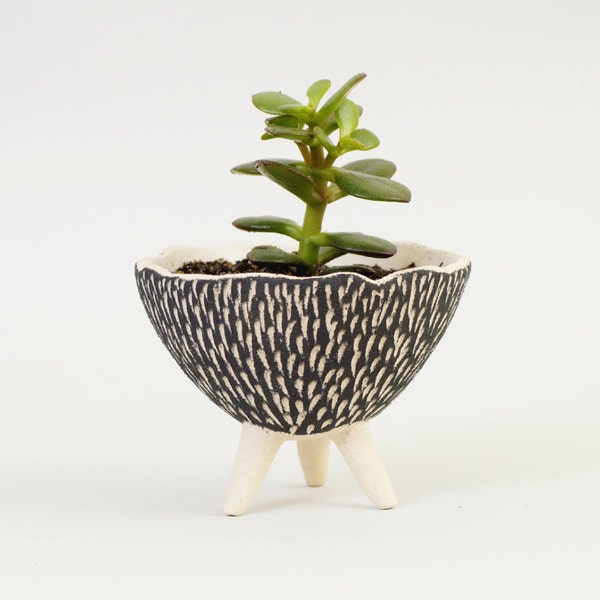 Black and White Pottery Planter ~ Textured Ceramics Ceramic Plant Pot Modern Planter Ceramic Planter Cactus Planter~Handmade Ceramic Bowl UK