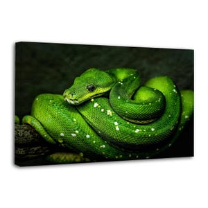 Green Tree Python Vivid Green Snake Dark Background Wildlife Painting On Canvas Wall Art Poster Picture Print Living Room Walls Decor Home