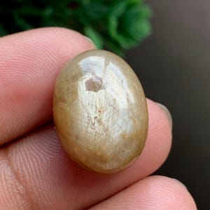 Könnte beinhalten: Ein ovaler, im Cabochon-Schliff gefertigter Edelstein mit einem durchscheinenden, hellen goldbraunen Farbton. Die Oberfläche zeigt einen ausgeprägten sechsstrahligen Sterneffekt, bekannt als Asterismus, der durch Lichtreflexion sichtbar wird.