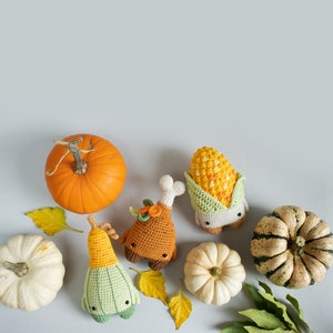 crochet kit lalylala seasons THANKSGIVING amigurumi diy pumpkin, gourd, turkey drumstick, corn on the cob, autumn, children's kitchen imagem 5