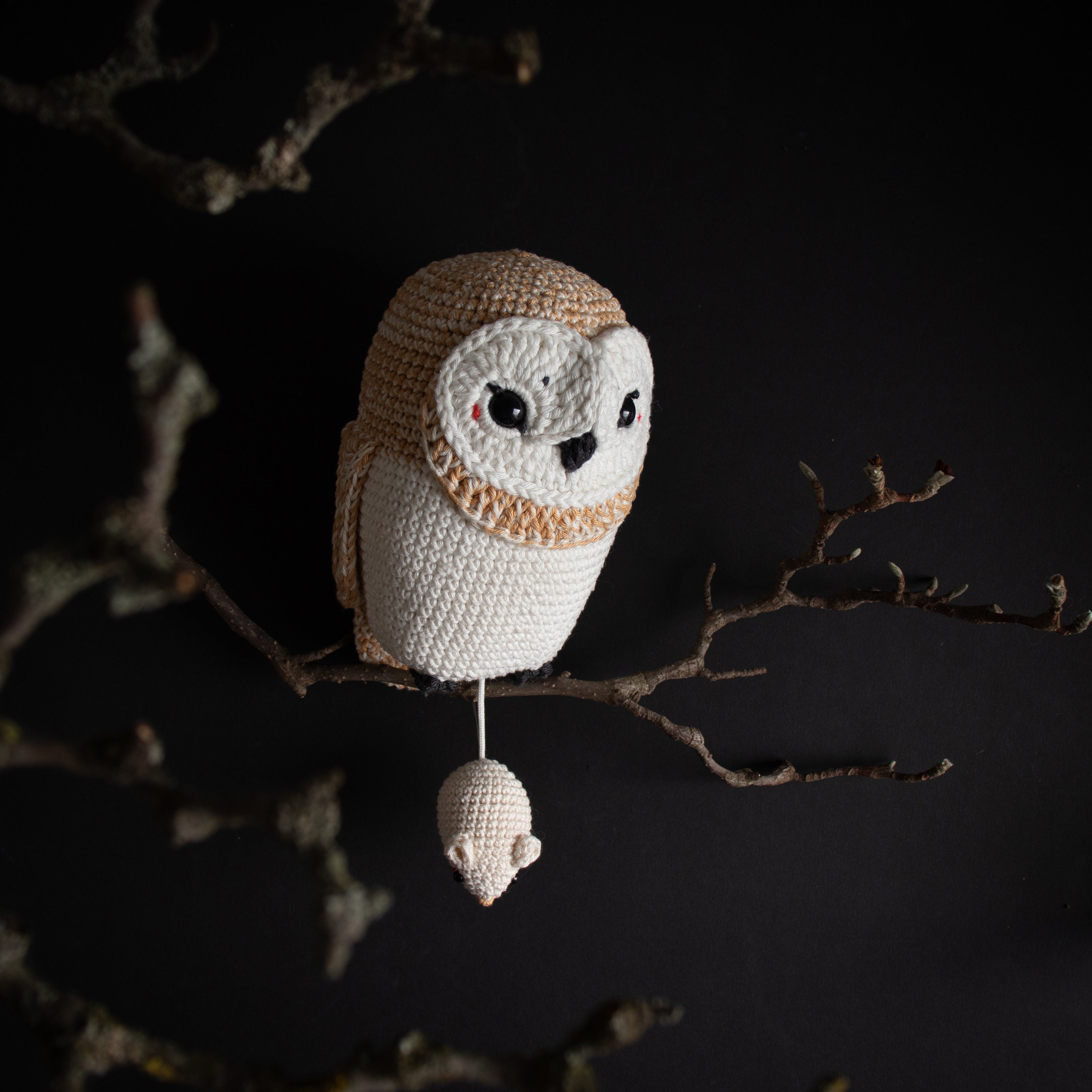 ◎69.メンフクロウのあみぐるみ il_fullxfull.4772936295_jpc9.jpg