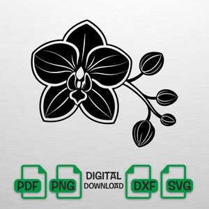 May include: Black and white orchid flower illustration. The image shows a detailed drawing of an orchid blossom with a stem and several buds. The image also includes the words "DIGITAL DOWNLOAD" and file type icons for PDF, PNG, DXF, and SVG.