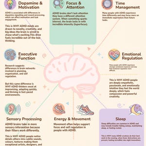 May include: An educational infographic titled ADHD Brain Explained, featuring a central brain illustration surrounded by eight sections detailing dopamine, focus, time management, executive function, emotional regulation, sensory processing, energy, and sleep.