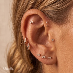 Op de afbeelding: Een collectie goudkleurige oorbellen met kleine heldere steentjes, waaronder twee kleine ringetjes in de oorlel en diverse knopjes langs de helix, de oorschelp en de tragus, met het woord Vanilla in de linkerbenedenhoek gedrukt.