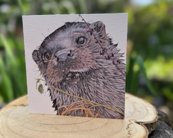 Eurasian Otter any occasion greeting card - blank inside. 148mm x 148mm