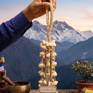 Kenari Seed Shell Shakers – Handmade Percussion Instrument for Music, Rhythm, and Sound Healing