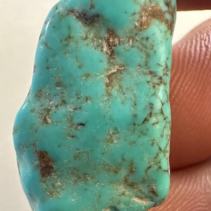 May include: A raw, unpolished turquoise gemstone with a vibrant robin's egg blue color and irregular brown matrix veining throughout the surface. The stone has an organic, asymmetrical shape with smooth, rounded edges and a natural, matte texture.