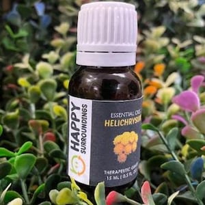 Helichrysum Essential Oils - Pure Natural Aromatherapy Massage Oil - Therapeutic Grade - Pure Natural Oil - EOHEL