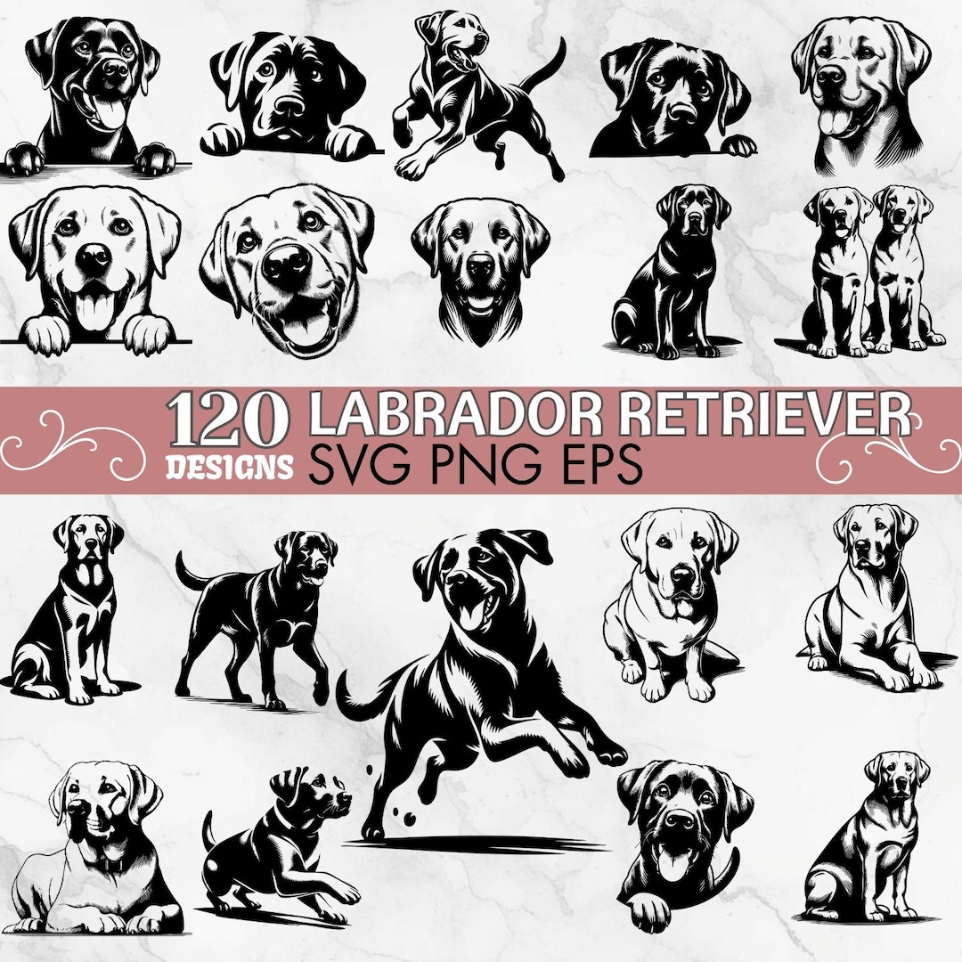 Labrador Retriever SVG Bundle, 120 Dog Clipart Designs (svg, Png, Eps ...