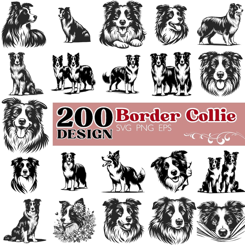 Collei Design Border Collie SVG Bundle, Black White Dog Clipart Pack (svg, Png, Eps ...