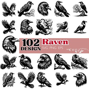 May include: A collection of 102 raven designs in black and white. The designs include illustrations of ravens in various poses, including flying, perched on branches, and close-up portraits. Text reads "102 Raven Design SVG PNG EPS."
