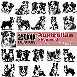 Bundle SVG berger australien, clipart chien australien PNG, Pack d'illustrations chien noir blanc